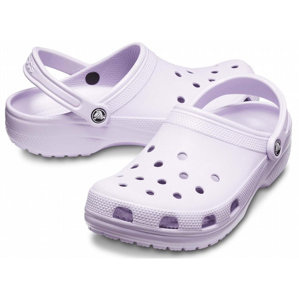 Purple / Pink Women's Crocs Classic Shoes Clogs | NZ 0011AHKP